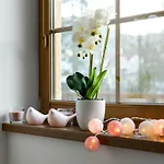 Apartamento Lux-nadrzeczna 5 Minut Od Deptaka Karpacz